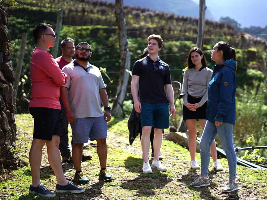 image n.11 of From Funchal: Full-Day Madeira Wine Tour with Lunch activity in Câmara de Lobos, uploaded by supplier