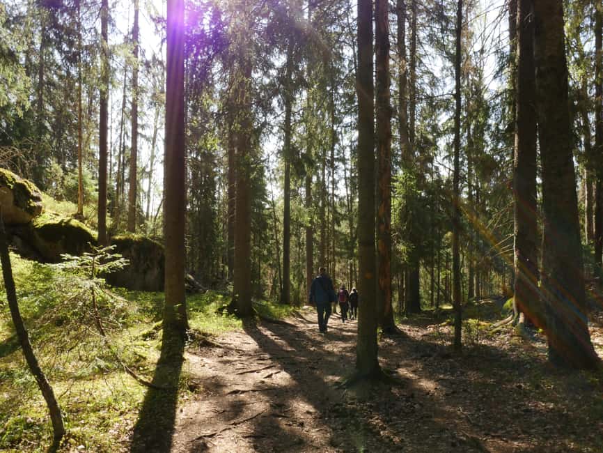Image N°25 de Depuis Helsinki : Visite culinaire du parc national de Nuuksio activité à Helsinki, publiée par le prestataire