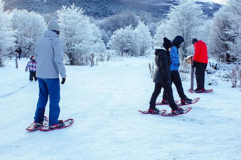 image n.3 of Ushuaia: Snowmobile+Rockets+Huskies+Skiing+Lunch or Pizza Rodizio activity in Ushuaia, uploaded by supplier