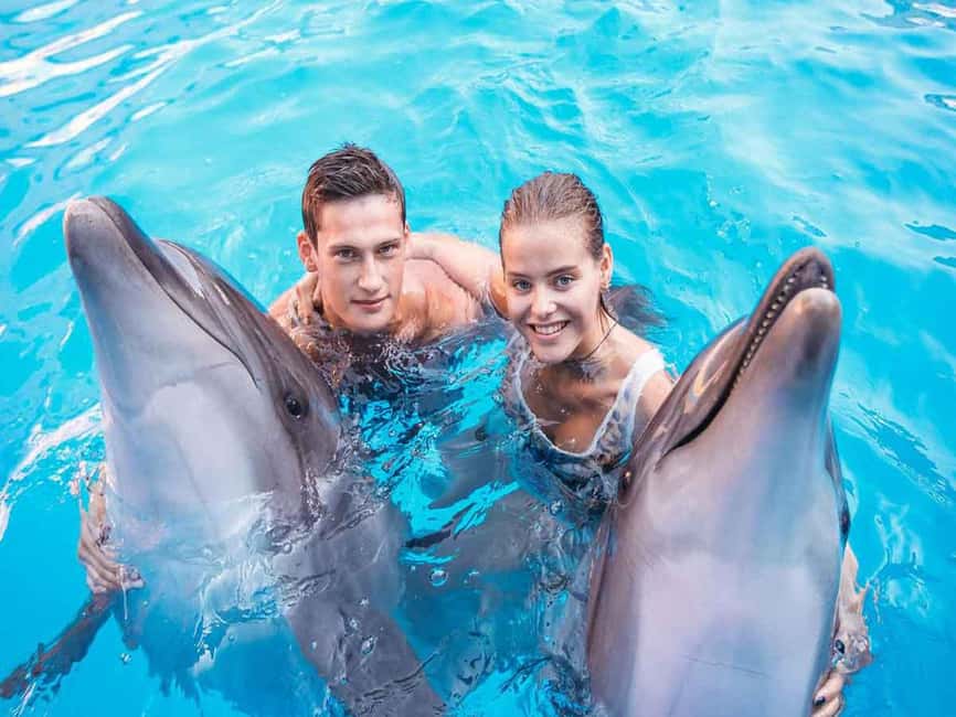 afbeelding n.5 van Side/Alanya: Zwemmen met dolfijnen en dolfijnenshow activiteit in Alanya, geüpload door aanbieder