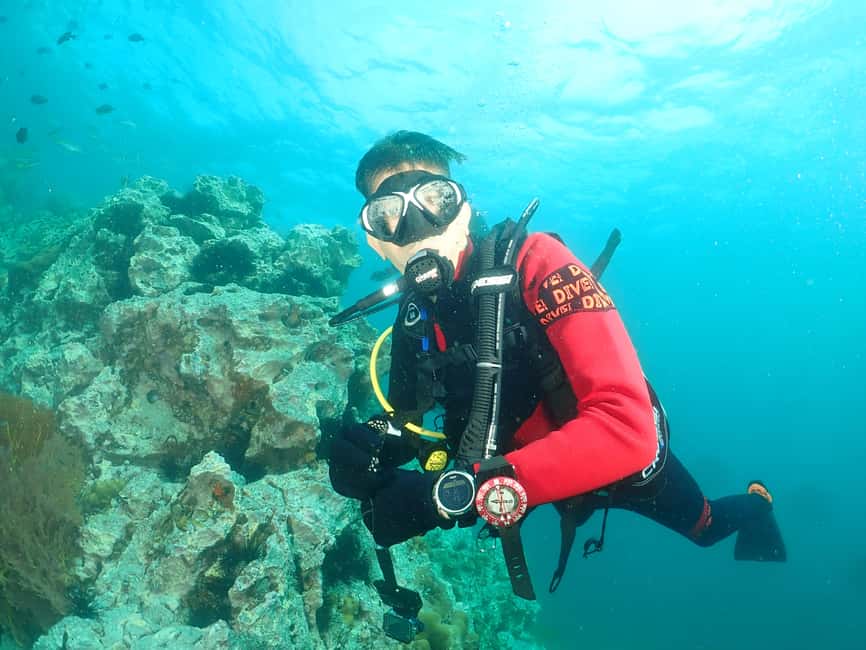 billede nr.1 af aktiviteten Phuket: 3 dyk Koh Phi Phi/Shark Point Scuba Diving dagsudflugt i Thailandbugten, uploadet af udbyder