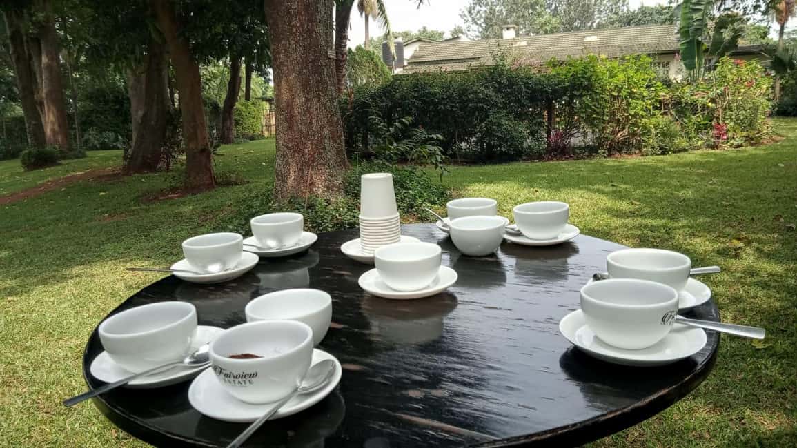image n.70 of Coffee Farm Tour (Fairview) activity in Kiambu, uploaded by supplier