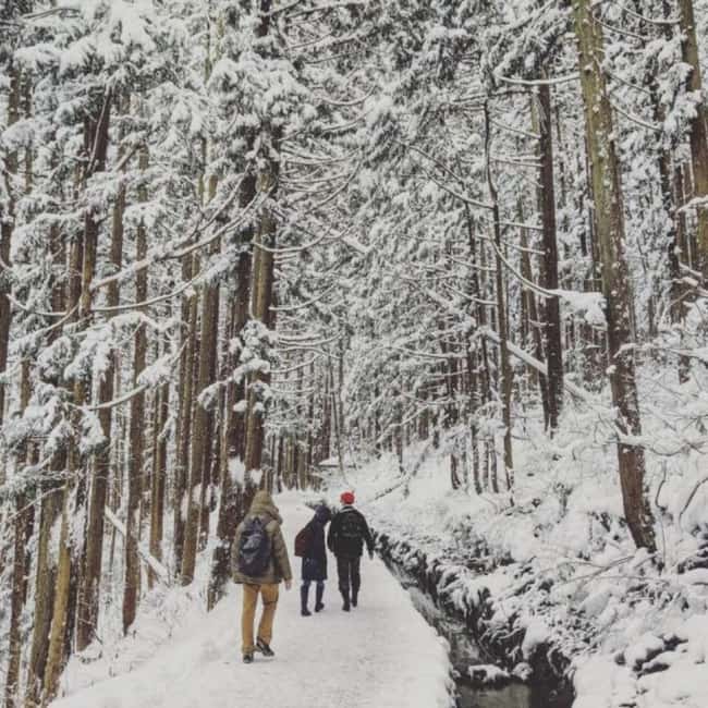 image n.9 of From Tokyo: Private Tour Snow Monkey Park & Zenko-ji Temple activity in Nagano, uploaded by supplier