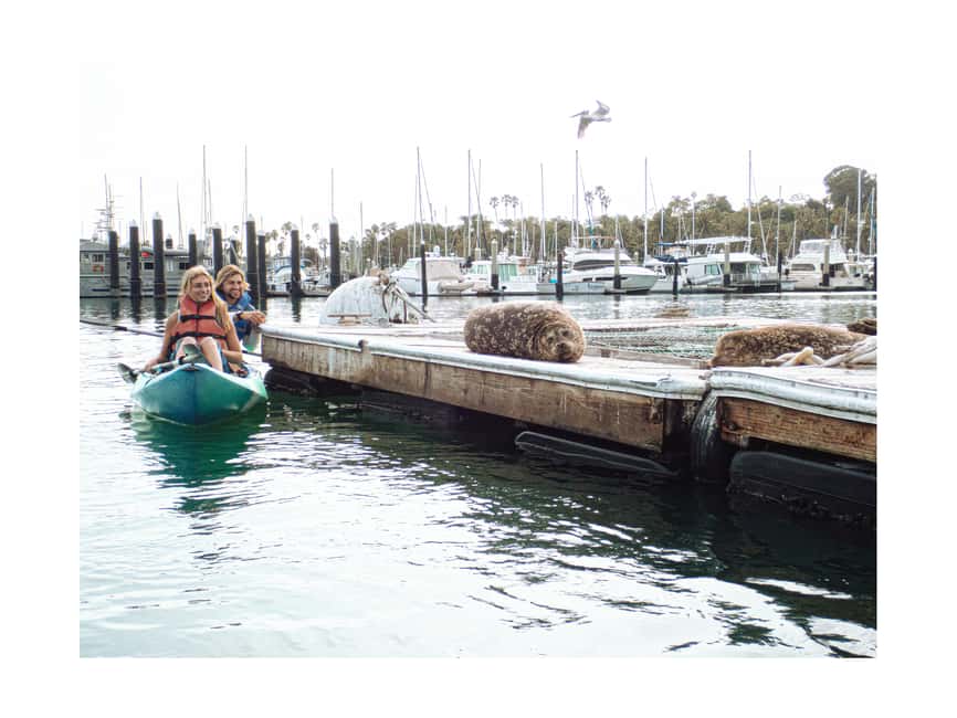 image n.6 of Santa Barbara: 1.5-Hour Harbor Kayak Tour activity in Santa Barbara, uploaded by supplier