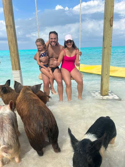 Image N°32 de Nassau : Cochons, plongée en apnée, tortues, déjeuner, club de plage privé activité à New Providence, publiée par le prestataire