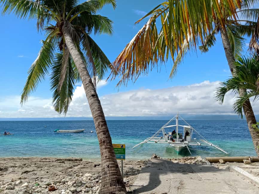 imagem n.9 de Cebu: tubarões-baleia de Oslob, corrida de sardinhas de Moalboal e tartarugas atividade em Cidade de Cebu, carregada pelo fornecedor