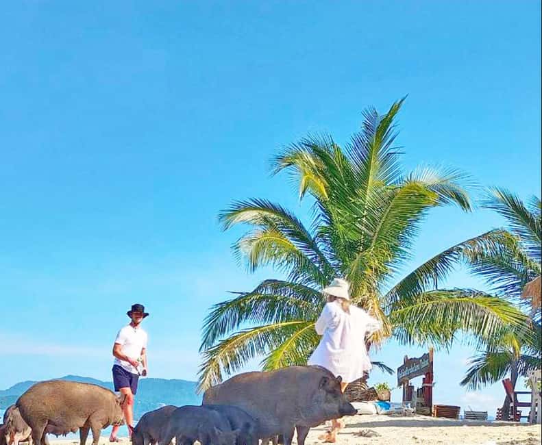 billede nr.3 af aktiviteten Ko Samui: Snorkling på Pig Island og speedbådstur til Koh Tan i Thailandbugten, uploadet af udbyder
