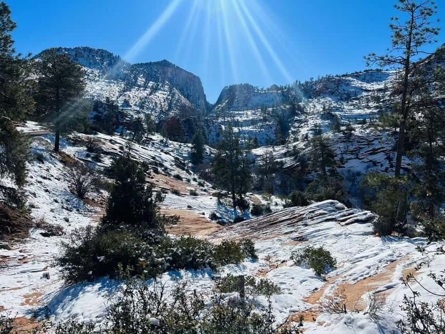 bild nr.5 av Las Vegas: Gruppresa till Zion National Park med lunch aktivitet i Springdale, Utah, uppladdad av arrangören