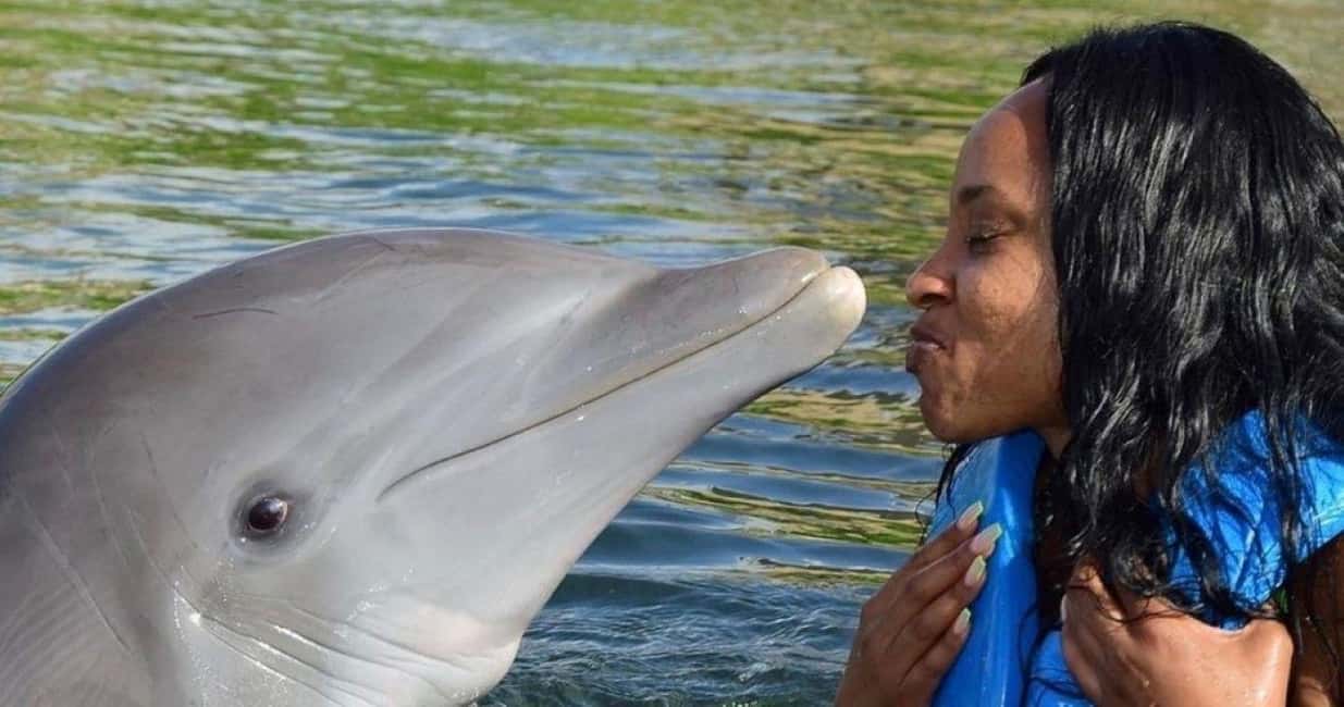 imagem n.1 de Montego Bay: Aventura de nadar com os golfinhos em Lucea atividade em Lucea, carregada pelo fornecedor