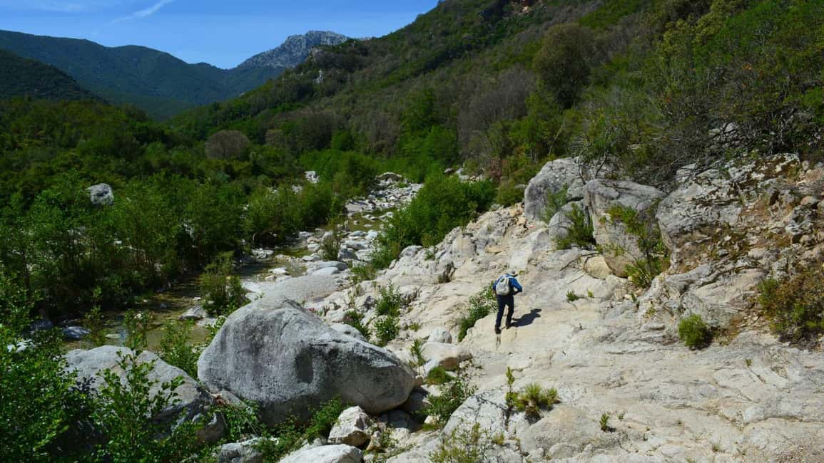 Bild Nr. 4 von Von Cala Gonone aus: Gorropu-Wanderung mit Mittagessen Aktivität in Sardinien, hochgeladen vom Anbieter
