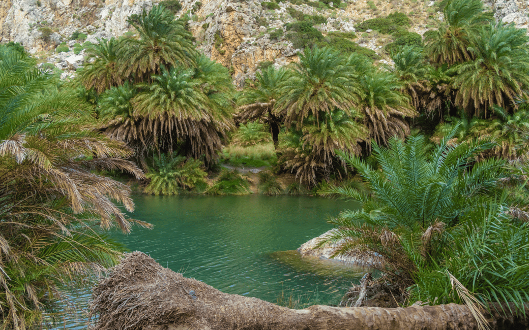 Immagine nº 19 di Fuoristrada: lago naturale, gole di montagna, foresta di palme e spiaggia attività a Kournas, caricata dal fornitore