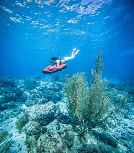 afbeelding n.16 van Curaçao: Playa Piskado Seabob Avontuur (Zeeschildpadden) activiteit in Curaçao, geüpload door aanbieder