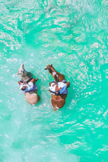 image n.7 of Zanzibar: Horse Riding and Kayaking with Video and Photos activity in Zanzibar City, uploaded by supplier