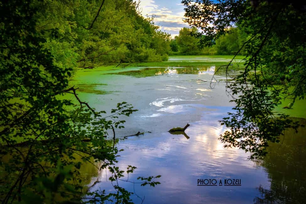 image n.6 of Mantua: Panoramic city navigation + protected oasis + guide on board activity in Mantua, uploaded by supplier