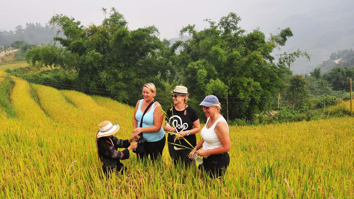 image n.48 of From Hanoi: 2-Day Sa Pa Ethnic Homestay Tour with Trekking activity in Sa Pa, uploaded by supplier