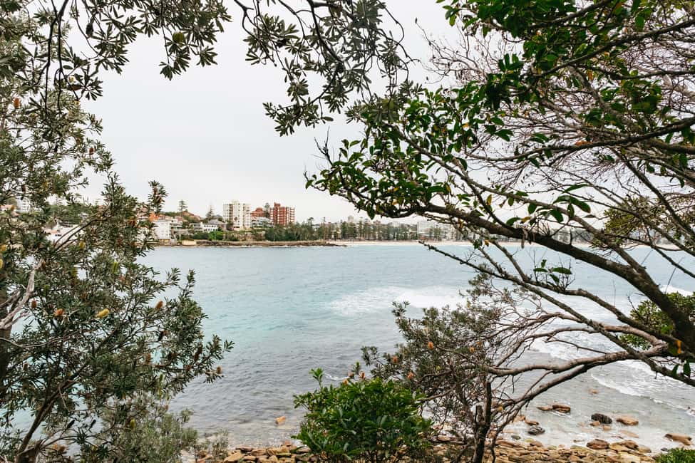image n.9 of Sydney: Manly and Shelly Beach Snorkeling Tour activity in Sydney, uploaded by supplier