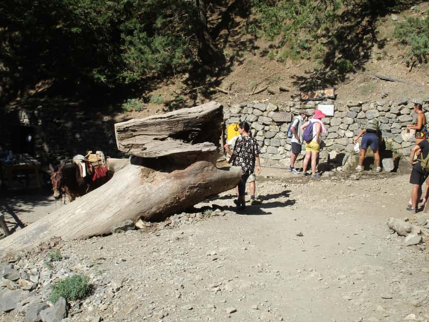 Immagine nº 41 di Da Rethymno: trekking di un giorno intero alle gole di Samaria, prelievo e guida attività a Rethymno, caricata dal fornitore