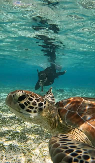 Immagine nº 3 di Maafushi: tour in barca con snorkeling nei giardini di corallo e pranzo attività a Maafushi, caricata dal fornitore