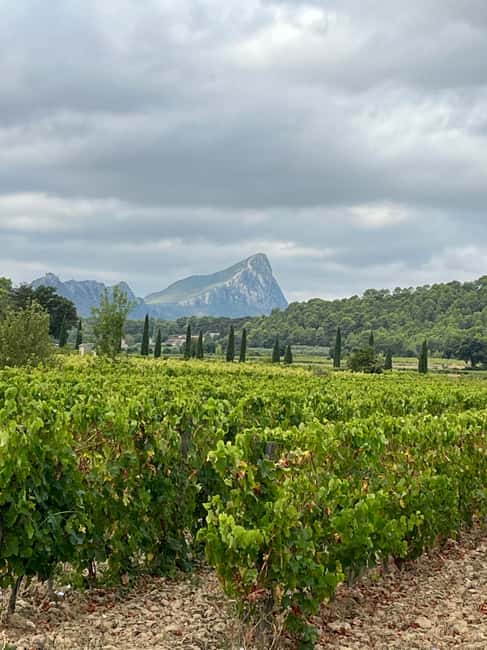imagem n.2 de Montpellier: Excursão vinícola Pic Saint-Loup atividade em Sul da França, carregada pelo fornecedor