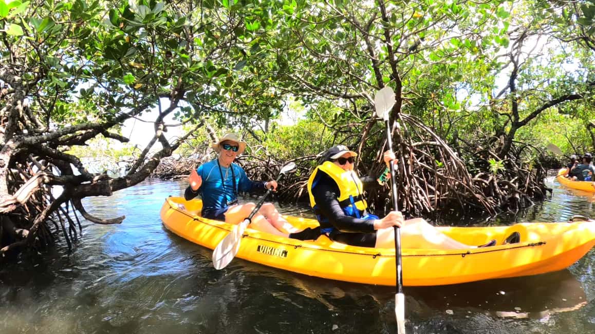 image n.1 of Noosa Heads: Hidden Waterways Wildlife Kayak (Fully Guided) activity in Noosaville, uploaded by supplier