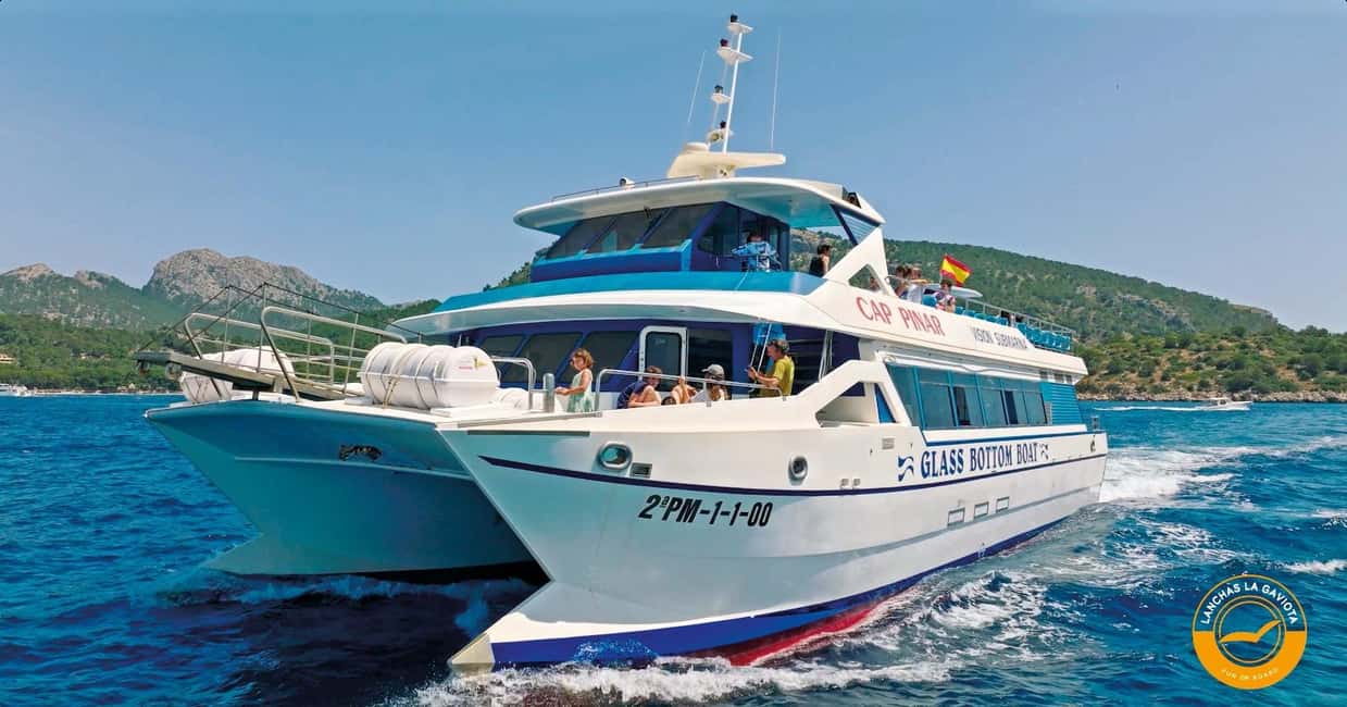 afbeelding n.5 van Pollença: Dolfijnenexcursie per boot activiteit in Pollença, geüpload door aanbieder