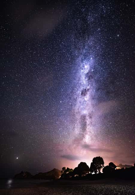 image n.13 of Tawharanui: Kiwi Spotting & Stargazing Tour w/ Optional Stay activity in Auckland, uploaded by supplier