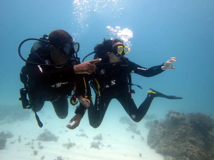 image n.11 of DISCOVER SCUBA DIVING IN LEMORNE with EasydiveMauritius activity in Mauritius, uploaded by supplier