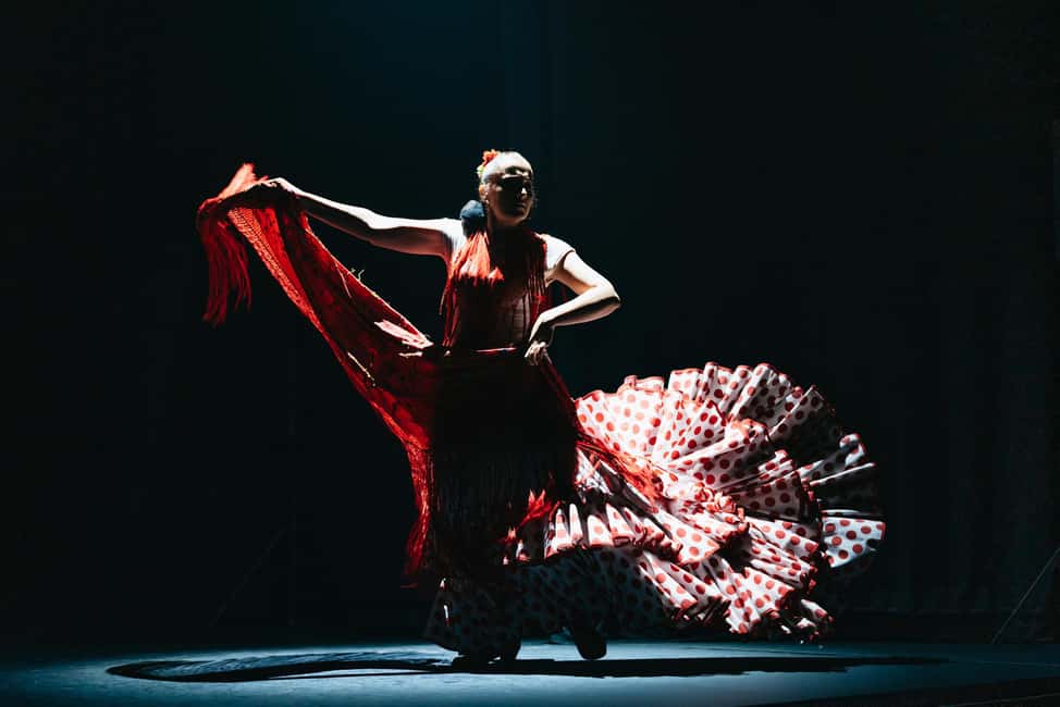 image n.9 of Seville: Live Flamenco Dancing Show Ticket at the Theater activity in Seville, uploaded by supplier