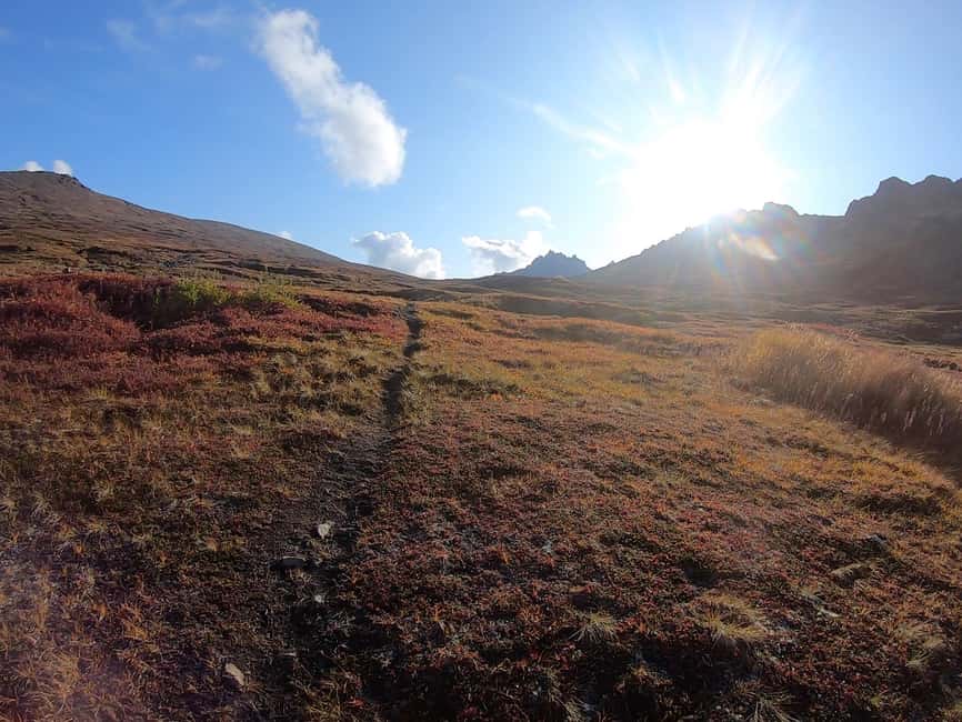 image n.8 of From Anchorage: Chugach State Park Guided Alpine Trek activity in Alaska, uploaded by supplier