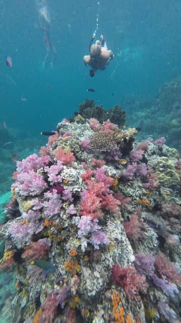image n.20 of Koh Lipe: Longtail Boat Snorkeling Trip with Lunch activity in Gulf of Thailand, uploaded by supplier