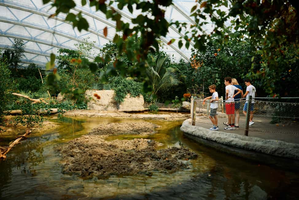 bilde nr.5 av Arnhem: Inngangsbillett til Burgers' Zoo aktivitet i Arnhem, lastet opp av leverandør