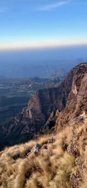 image n.49 of From Gondar: 2-Day Simien Mountains Trekking Tour activity in Gondar, uploaded by supplier