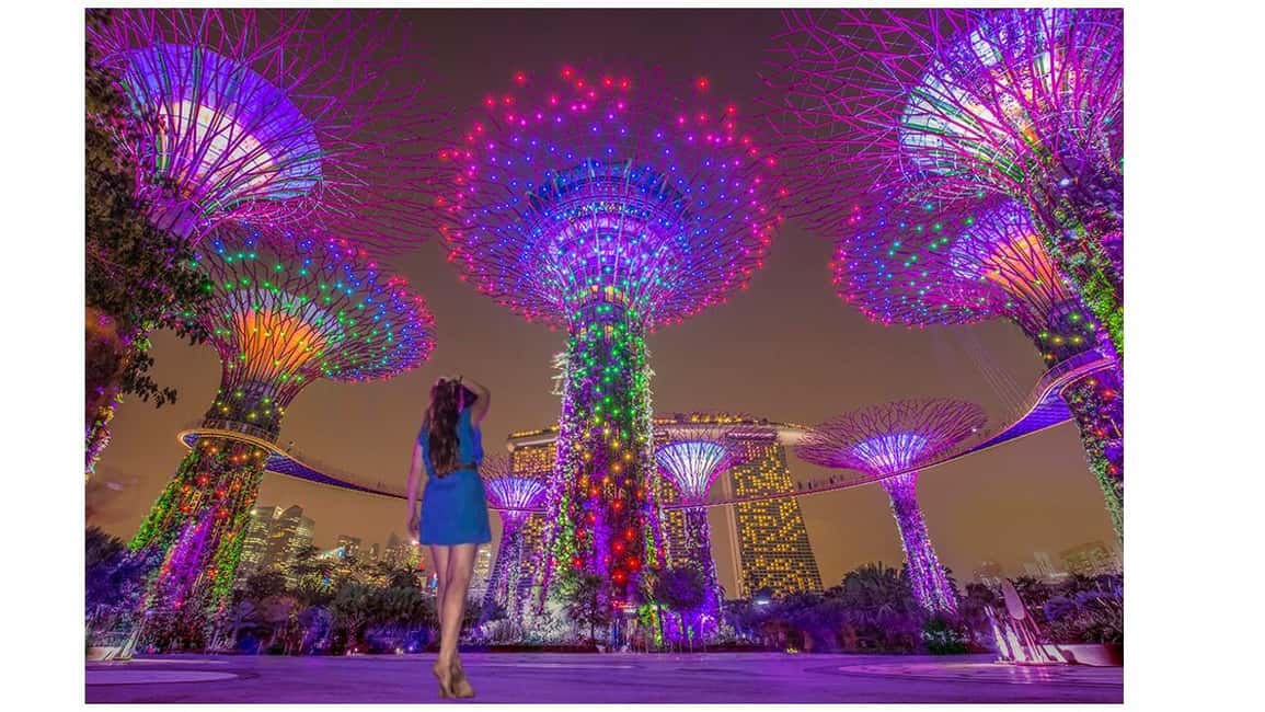 image n.1 of Singapore River Cruise, Spectra & Garden Rhapsody Light Show activity in Singapore, uploaded by supplier