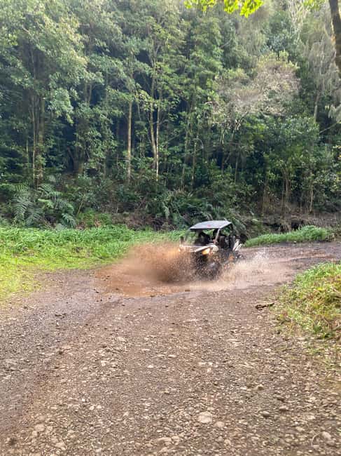 image n.17 of Madeira: Off-Road Buggy Driving Experience activity in Madeira, uploaded by supplier