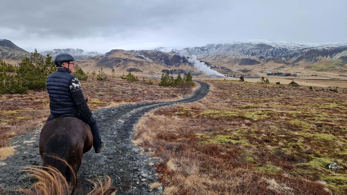 imagen n.º 6 de Hveragerdi: Excursión a Caballo por Reykjadalur (Valle de las Aguas Termales) actividad en Hveragerði, subida por el proveedor