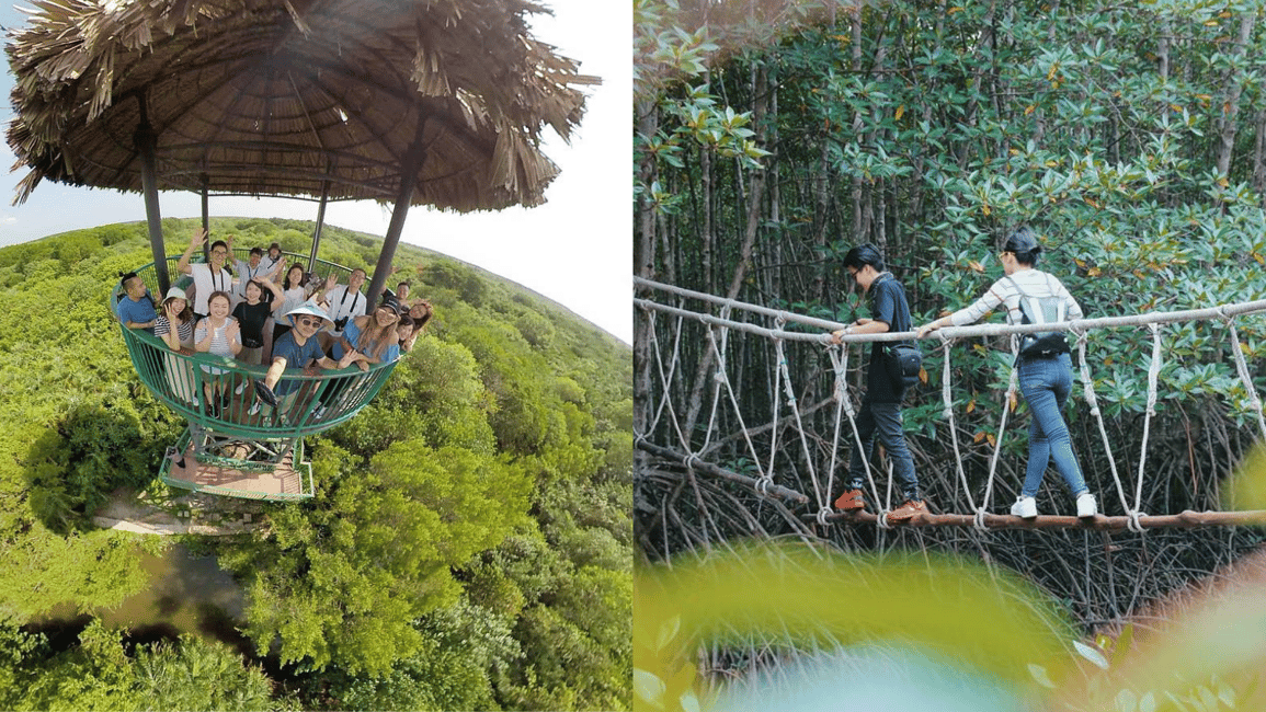 Immagine nº 4 di Da Ho Chi Minh City: Tour di un giorno della foresta di mangrovie di Can Gio attività a Città di Ho Chi Minh, caricata dal fornitore