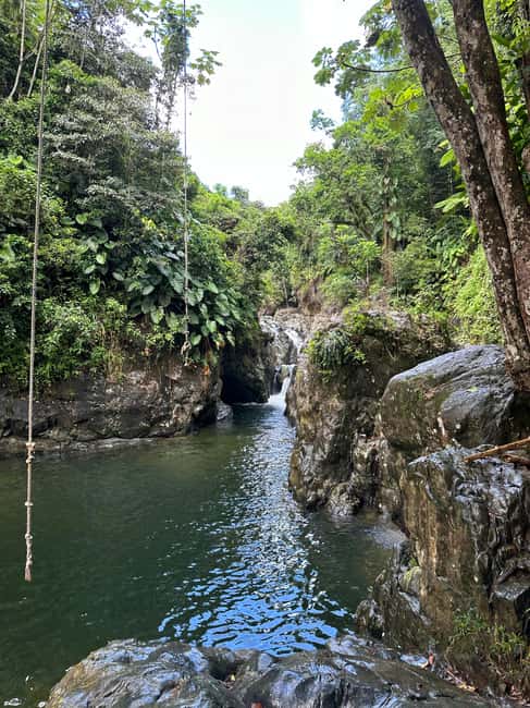 billede nr.30 af aktiviteten Fajardo: Guidet eventyr i El Yunque-skoven i Río Grande, Puerto Rico, uploadet af udbyder