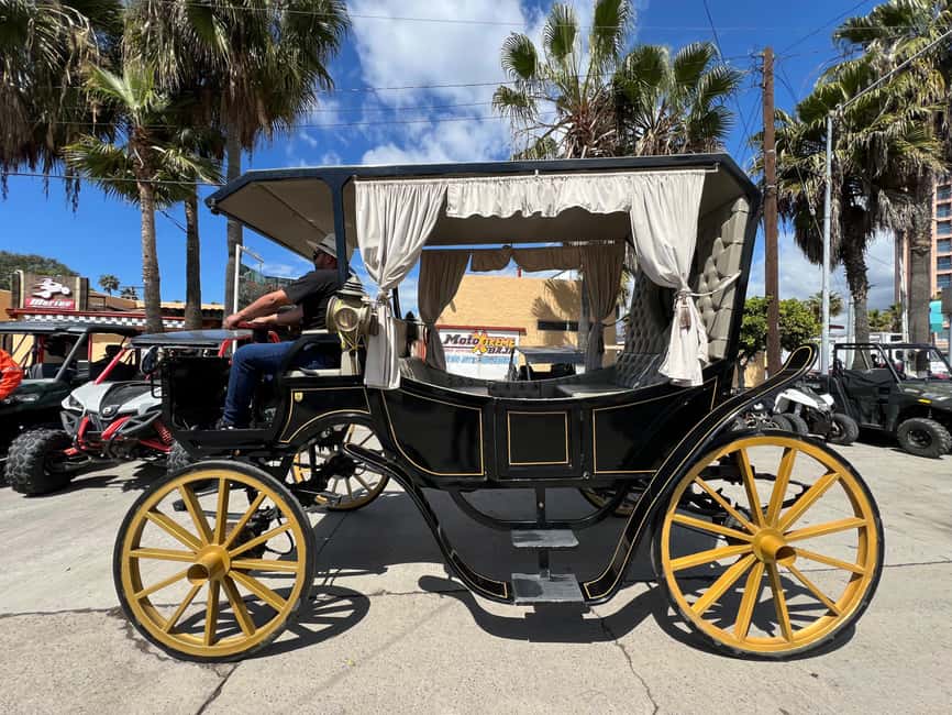 image n.3 of City tour on electric horse wagon. activity in Ensenada, uploaded by supplier