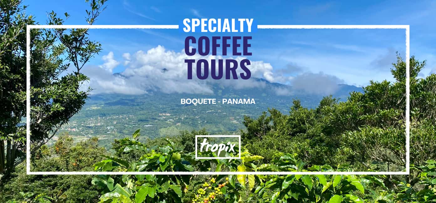 Bild Nr. 1 von Boquete, Panama: Specialty Coffee Tour Aktivität in Bajo Boquete, hochgeladen vom Anbieter