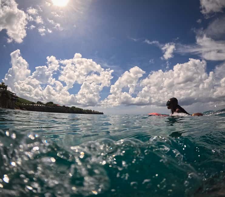 afbeelding n.25 van Curaçao: Playa Piskado Seabob Avontuur (Zeeschildpadden) activiteit in Curaçao, geüpload door aanbieder