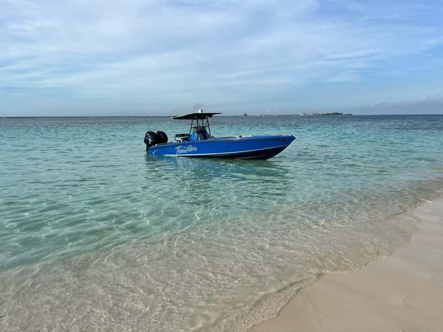 Image N°3 de Nassau : Plongée en apnée, cochons nageurs, tortues et bar de plage activité à Exumas, publiée par le prestataire