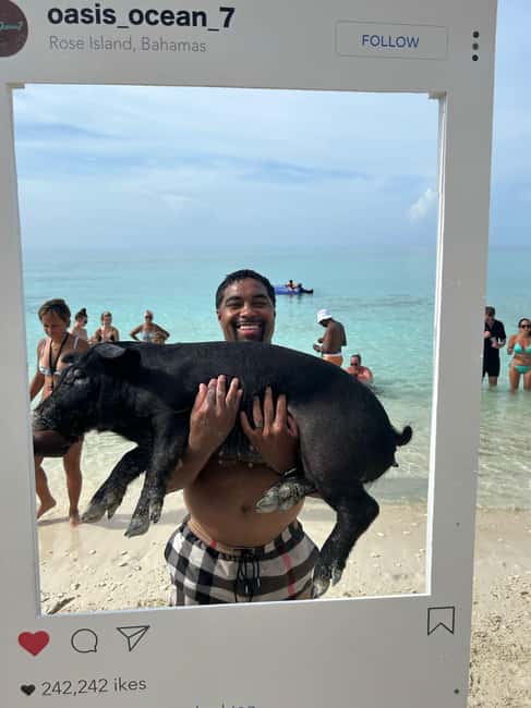 Image N°51 de Nassau : Cochons, plongée en apnée, tortues, déjeuner, club de plage privé activité à New Providence, publiée par le prestataire