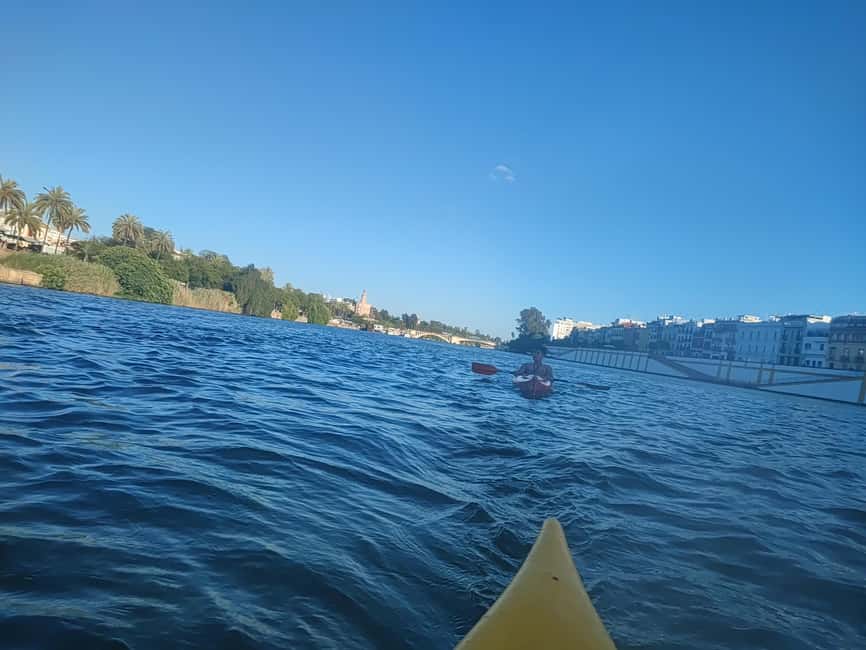 Bild Nr. 22 von Sevilla: Kajaktour auf dem Guadalquivir Aktivität in Sevilla, hochgeladen vom Anbieter