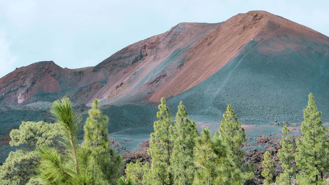 image n.4 of From Santa Cruz: Teide Volcano, Icod, & Garachico Tour activity in Canary Islands, uploaded by supplier