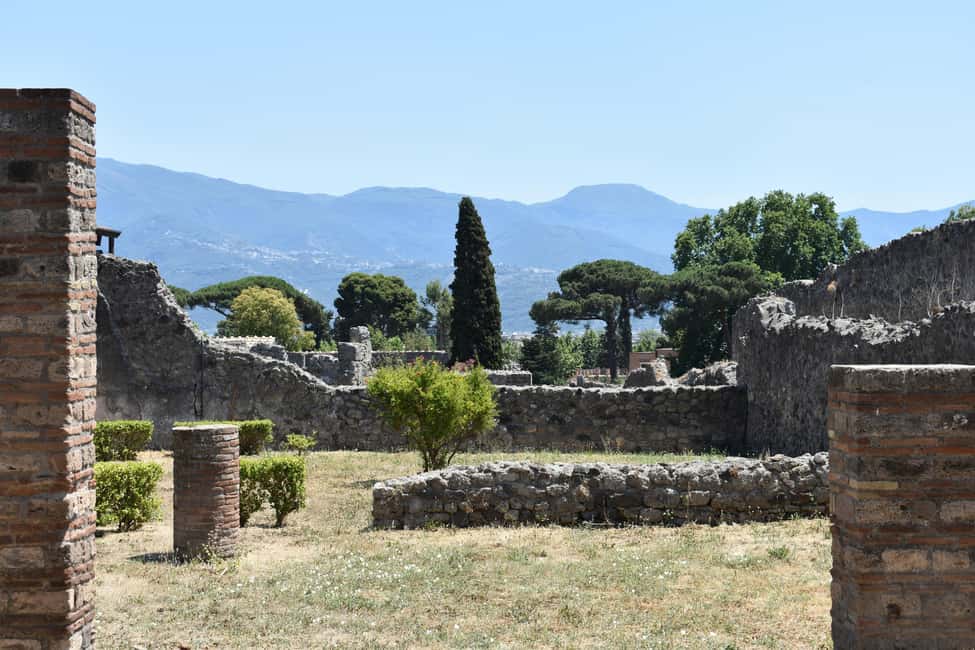 billede nr.7 af aktiviteten Fra Napoli: Dagstur til Herculaneum, Vesuv og Pompeji i Napoli, uploadet af udbyder