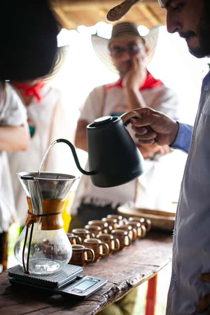 imagem n.59 de Medellín: Tour do café, chegada a cavalo e cana-de-açúcar atividade em Medellín, carregada pelo fornecedor