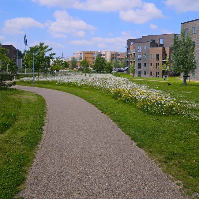 image n.10 of Odense: City walk - The new green Odense - City development activity in Odense, uploaded by supplier