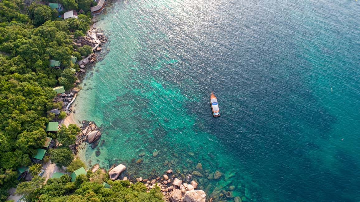 billede nr.10 af aktiviteten Koh Tao: First Light Snorkel Adventure med Oxygen Tours i Ko Tao, uploadet af udbyder