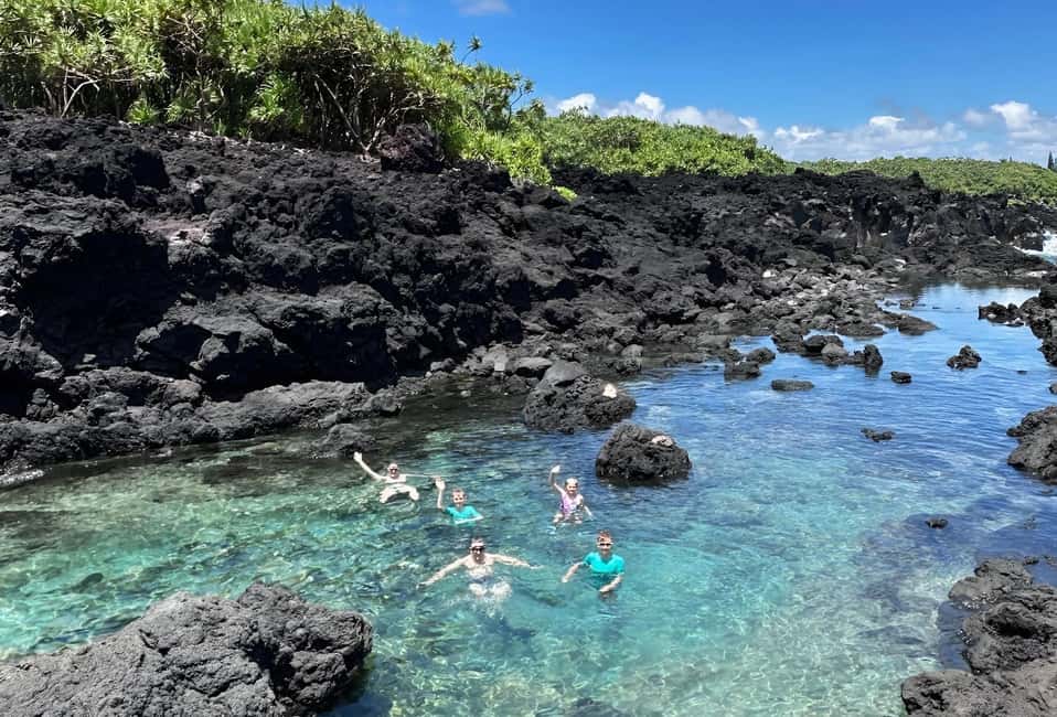 Immagine nº 1 di Escursione alle pozze di marea segrete - Giungla e costa - Privato attività a Pahoa, caricata dal fornitore