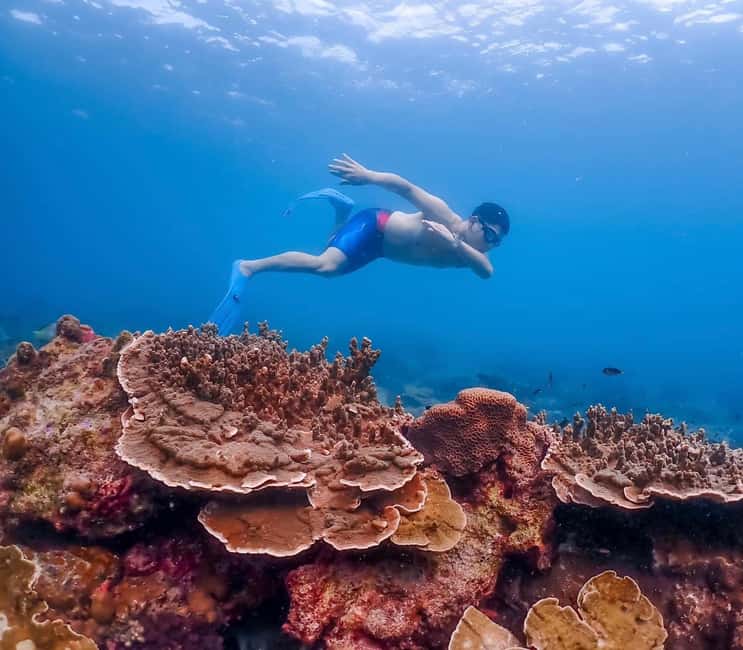 imagen n.º 10 de Bangkok: Excursión de un día a la Isla de Nemo con fotos de drones y almuerzo actividad en Pattaya, subida por el proveedor